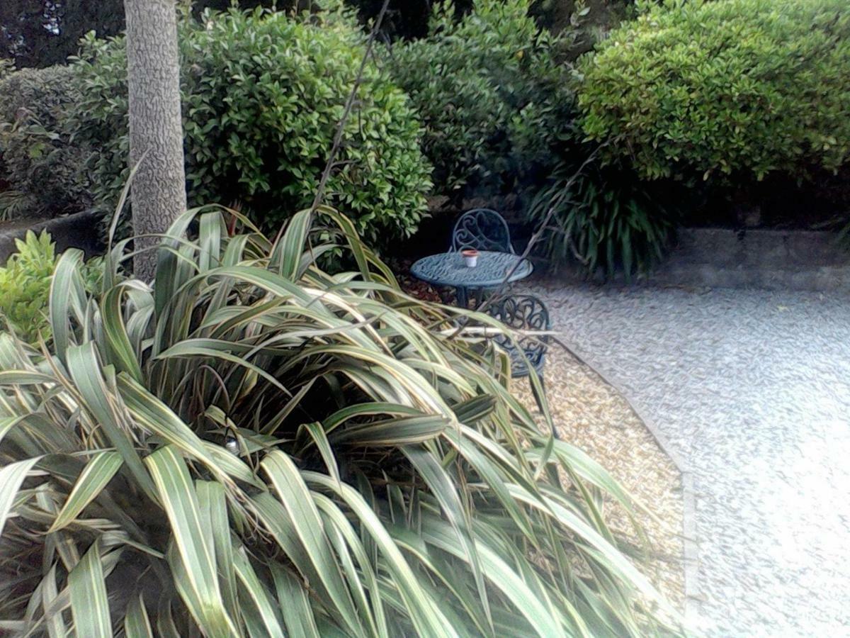 Baytree B&B Charlestown  Exterior photo